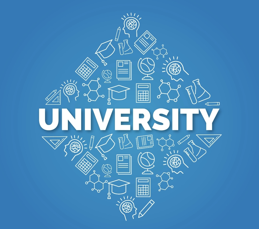 Your First Year: A Guide to University Success